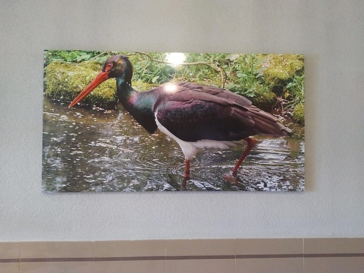 Hotel Peru By Bossh Hotels Trujillo Bagian luar foto